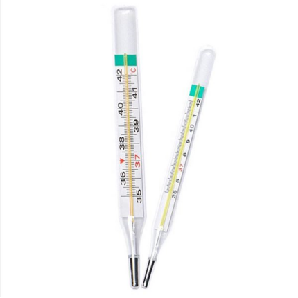 Digital clinical thermometer